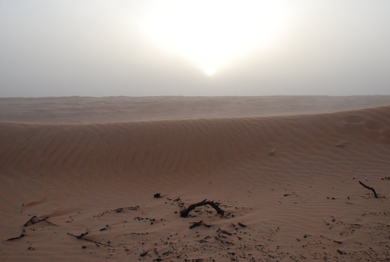 DSC_2584.JPG