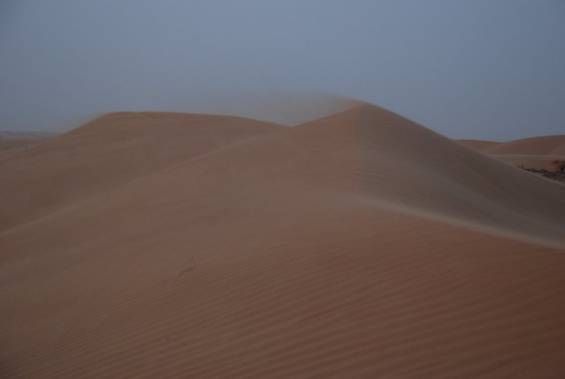 DSC_2592.JPG