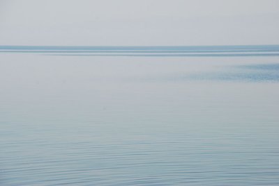 DSC_23190423.JPG