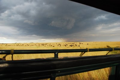 DSC_2832.JPG