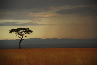 DSC_2849.JPG