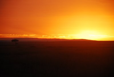 DSC_2868.JPG