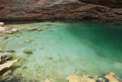 DSC_2445.JPG
