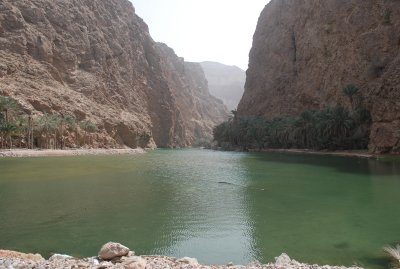 DSC_2464.JPG
