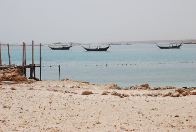 DSC_2503.JPG
