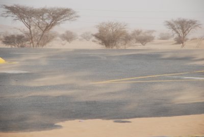 DSC_2527.JPG