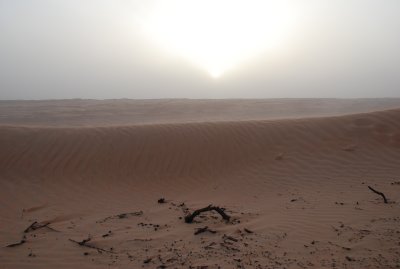 DSC_2584.JPG