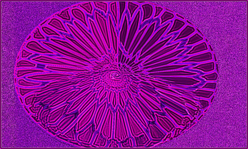 Nameless-16f.jpg