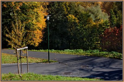 48-Autumn-in-Oslo-2008.jpg