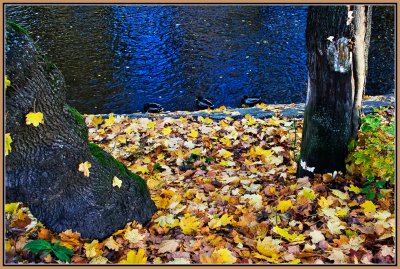 53-Autumn-in-Oslo-2008.jpg