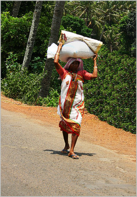 23 In Goa ladies use the head 4a.jpg