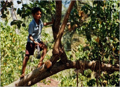 33 Boy with Machete.jpg