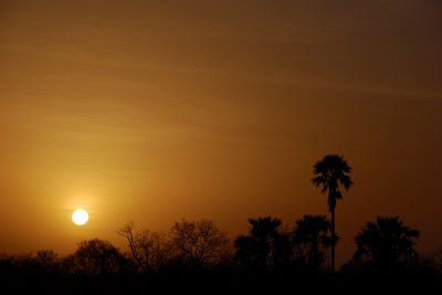 Niokolo Sunset: Full View