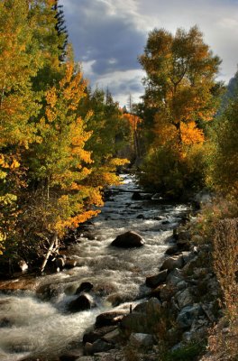 2038_39_40_41_42_36_37 BV River Aspens Pbase.jpg