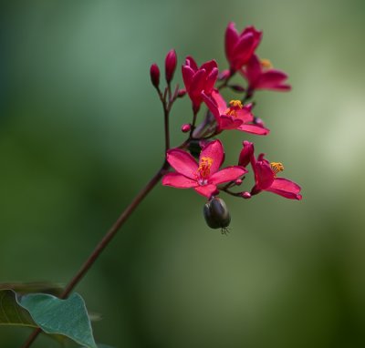 g5/17/102317/3/101315845.MYBRsbD0.jpg