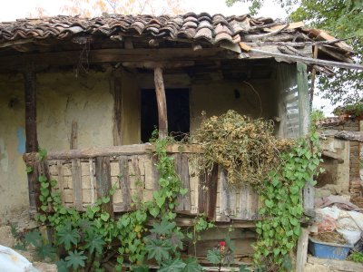 sDSC05631.JPG