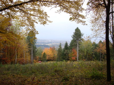 sDSC05828.JPG