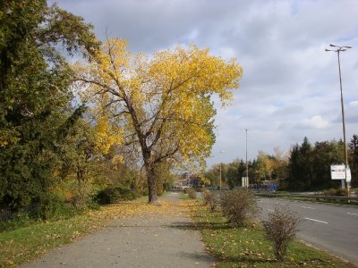 sDSC05841.JPG