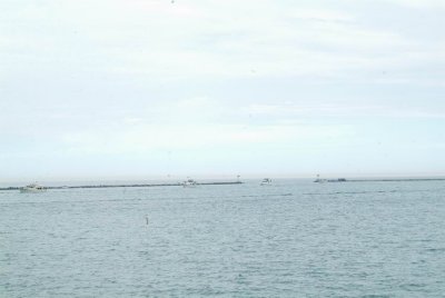 Resize of _DSF0294.JPG