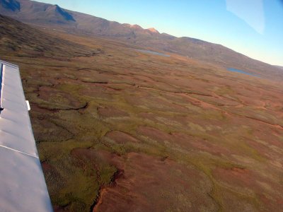 Litla trébrúin á Kóngsvegi á miðri mynd