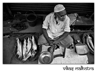 Fish Seller