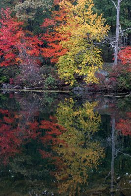 Seven Lakes Bear Mt NY