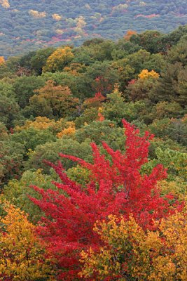 Seven Lakes Bear Mt NY