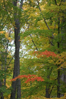 Seven Lakes Bear Mt NY