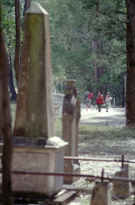 Old graves at Joadja - 1