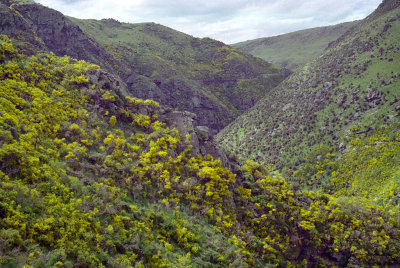 In the Taieri Gorge