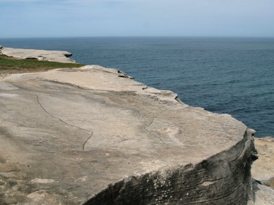 Aboriginal rock engraving