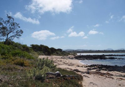 Shellgrit Bay, Broulee Island