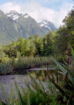 At Mirror Lakes