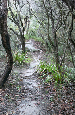 Bangalley Head Track