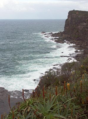 Bilgola Head - 1