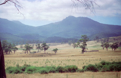 Northern Tasmania Landscape