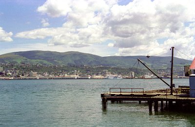 Dunedin Harbour