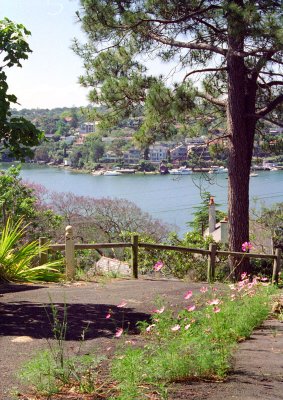 Great North Walk in suburbia - 1