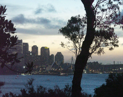 Evening on Sydney Harbour