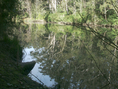 Lane Cove River - 2