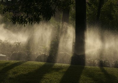 watering the yard.jpg