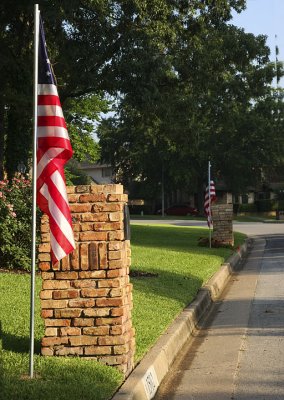 neighborhood flags.jpg