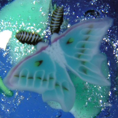 g5/17/390417/3/118634447.m5drKUyb.jpg
