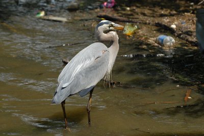 DSC_0027_sm.jpg
