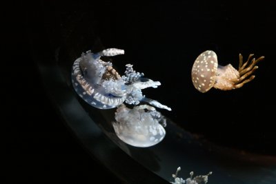 IMG_2912.JPG