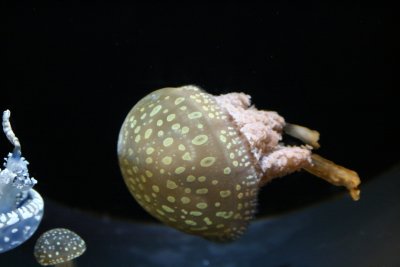 IMG_2915.JPG