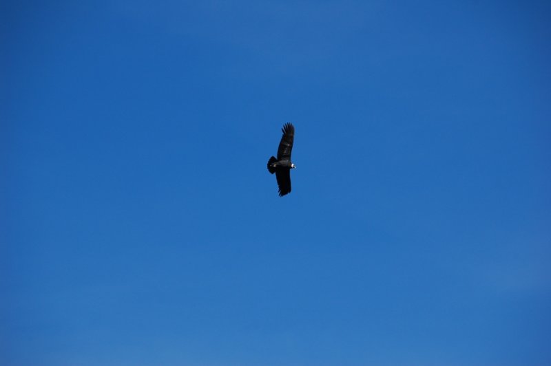 DSC_0208.JPG