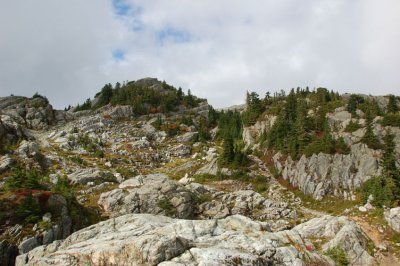 BDSC_0016.jpg