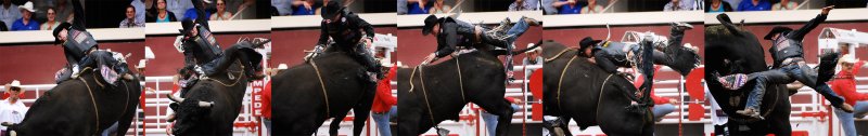 Bull Riding2