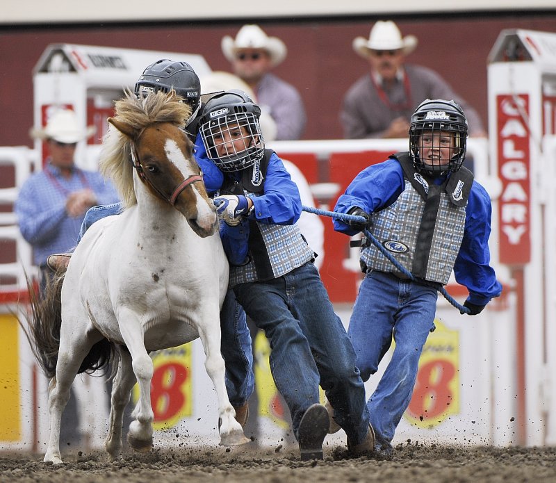 Wild Pony Racing